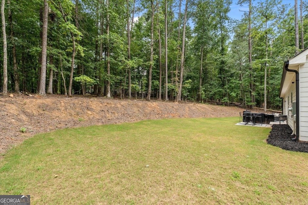 5525 Belle Meade Drive Villa Rica - Photo 35