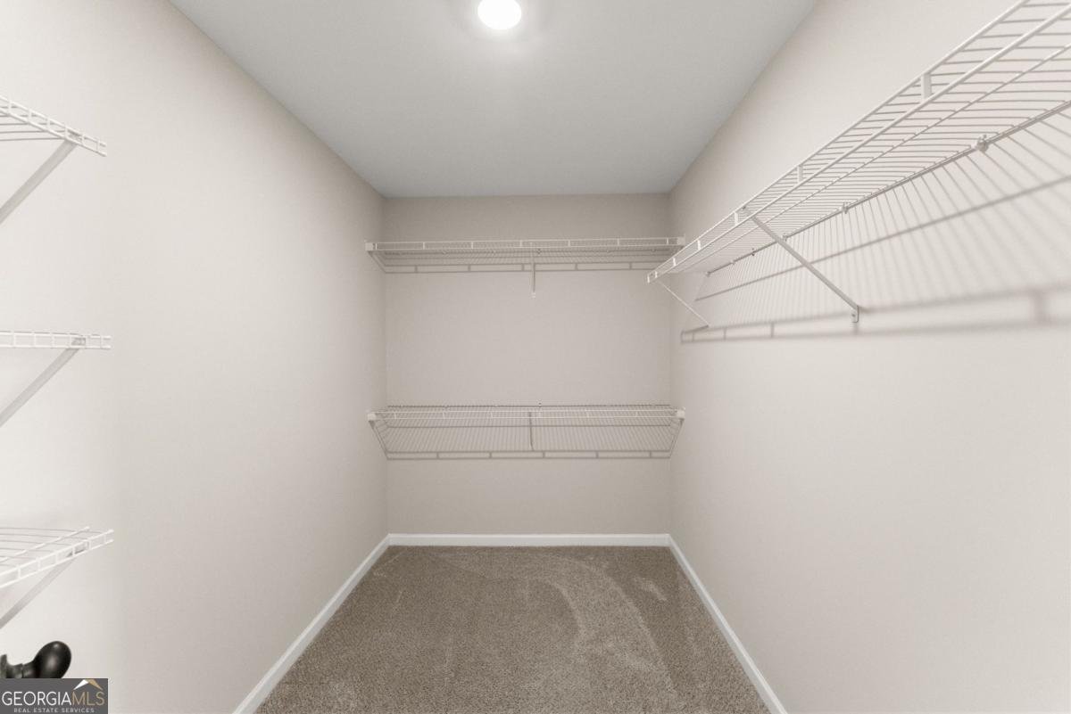 810 Anderson Thomas Road Martin - Photo 27