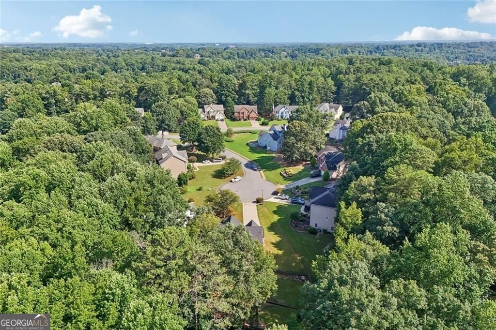 1305 Rosewood Drive ALPHARETTA - Photo 69