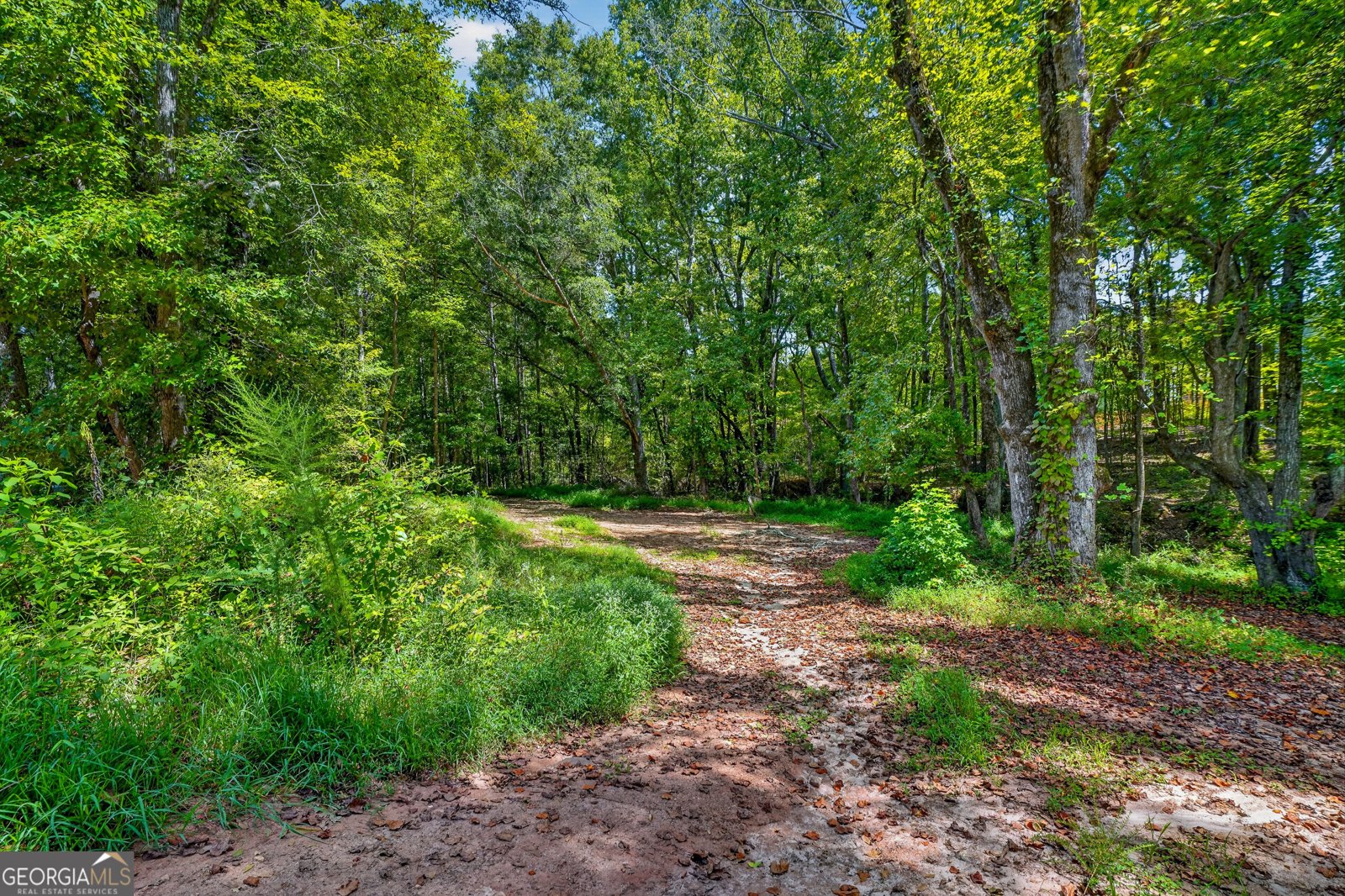 450 Ashley Glen Drive Williamson - Photo 43