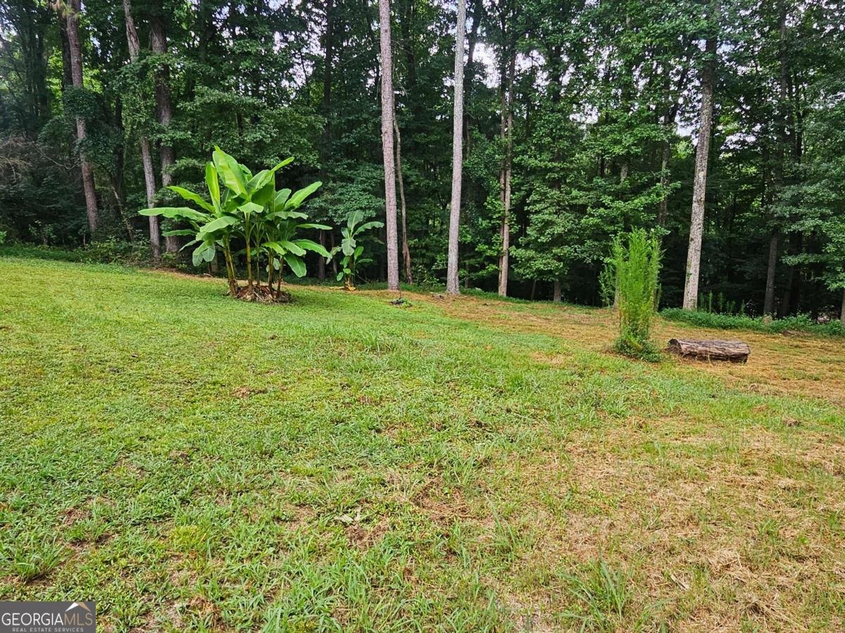 1072 Jim Johnson Road Winder - Photo 39
