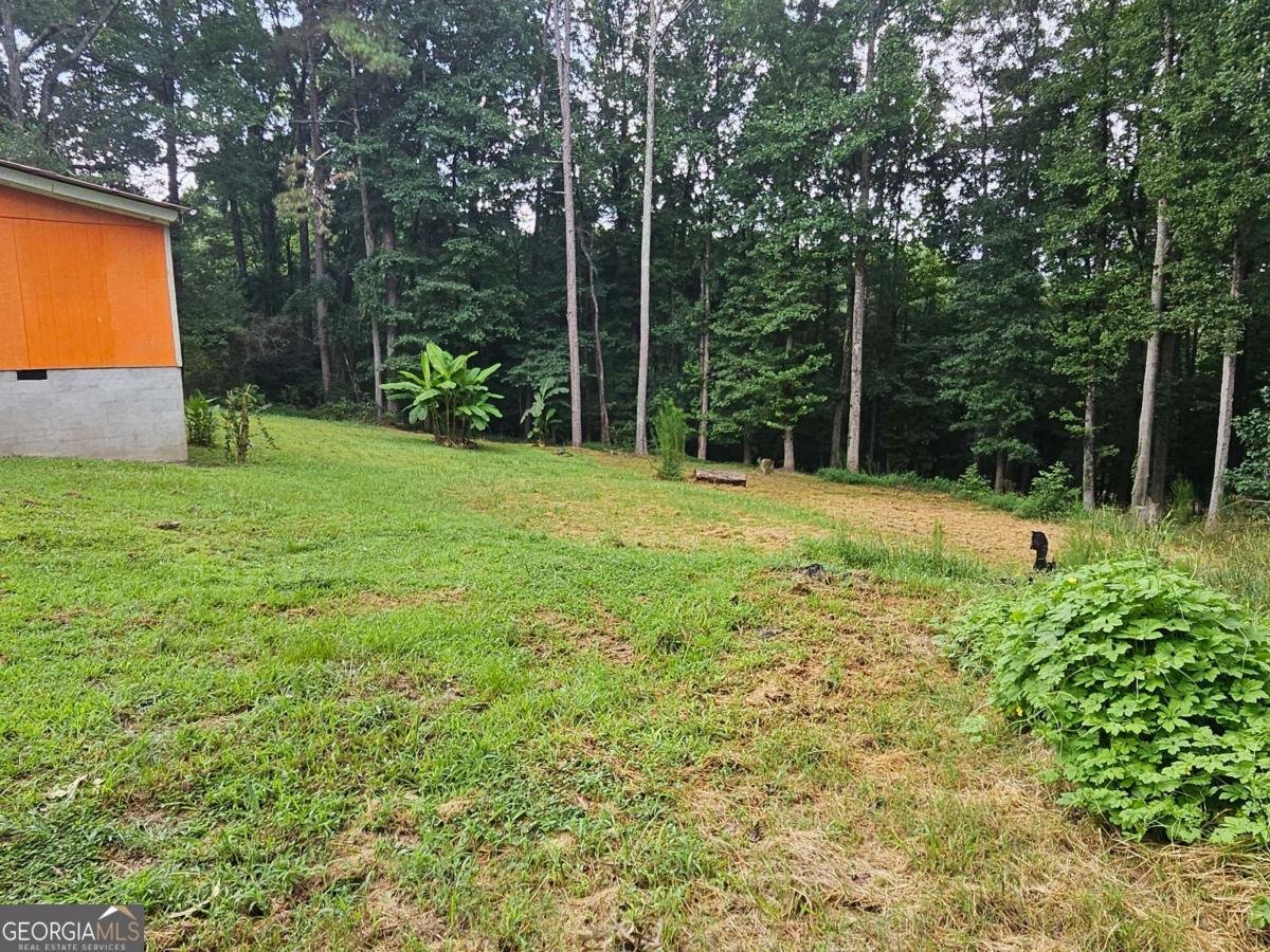 1072 Jim Johnson Road Winder - Photo 41
