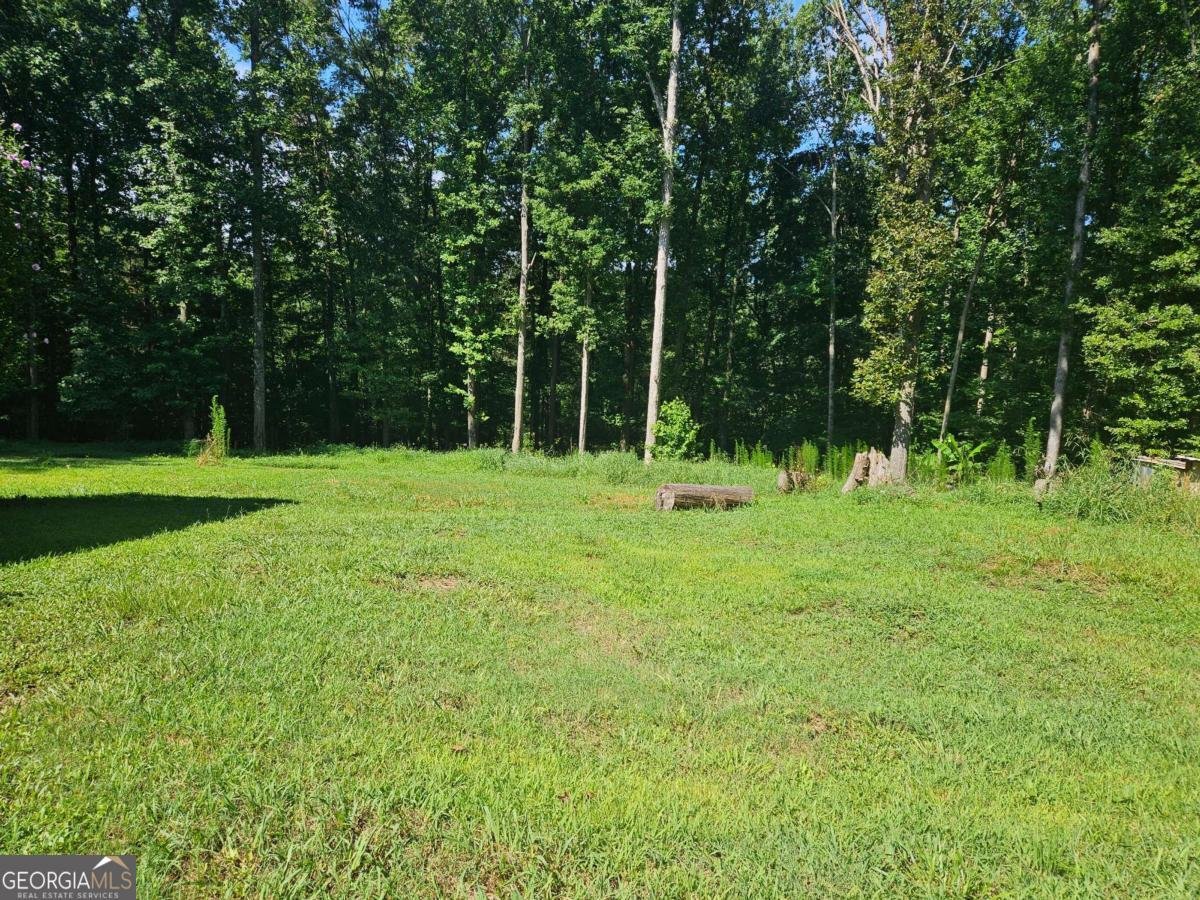 1072 Jim Johnson Road Winder - Photo 8
