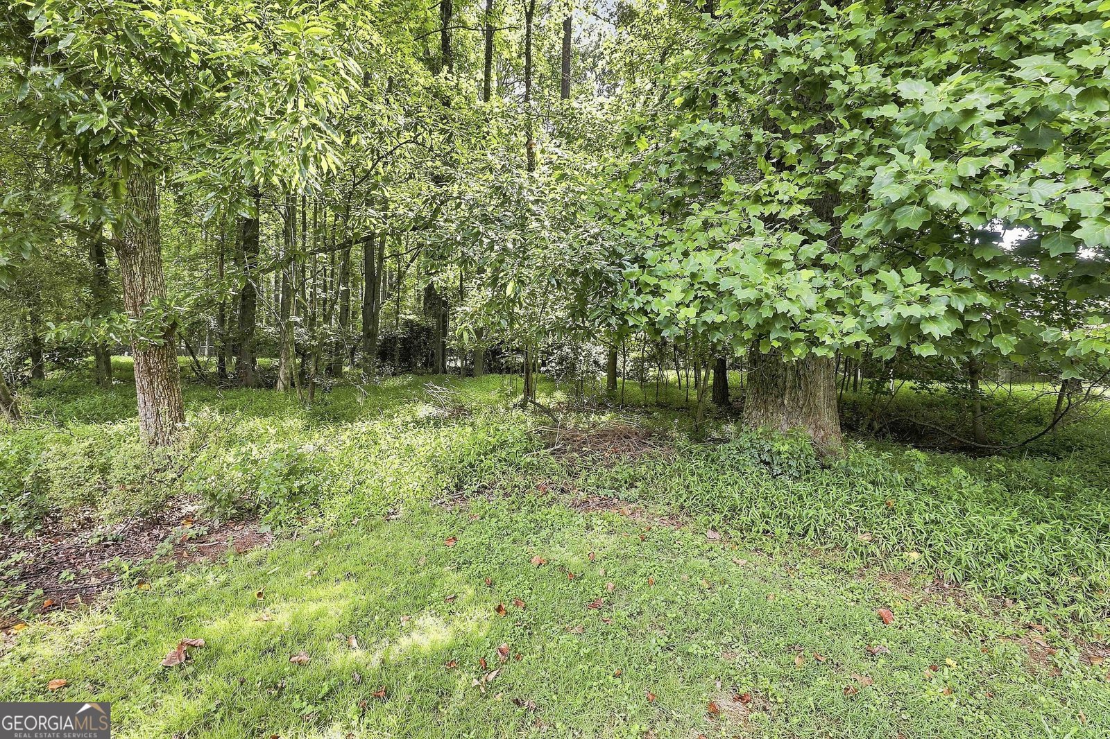 128 Treillage Lane Peachtree City - Photo 34