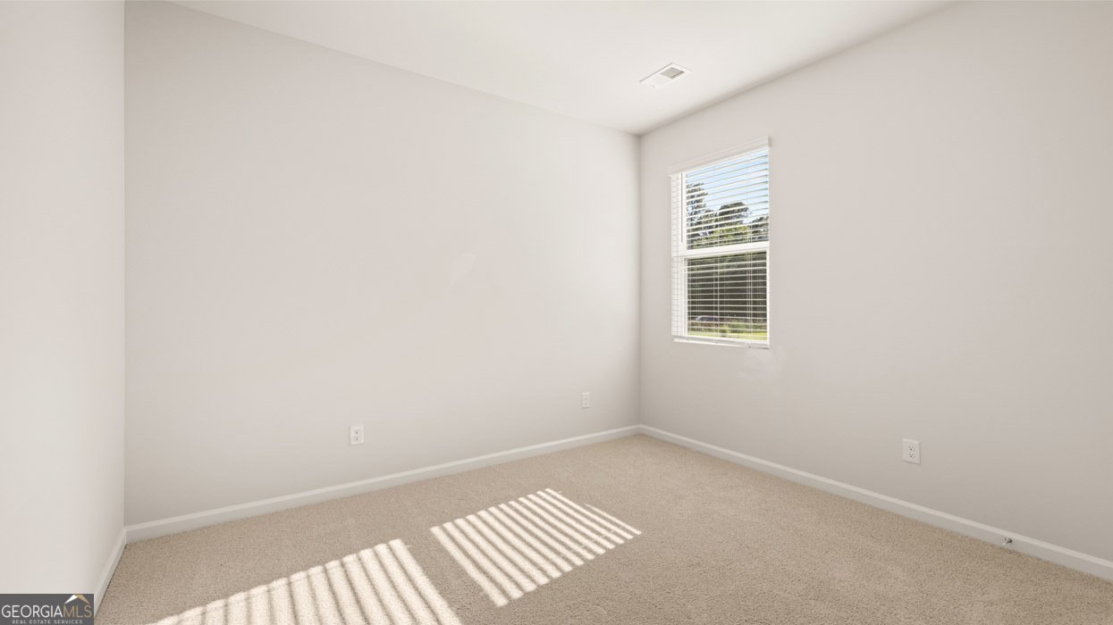 162 White Spruce Way Newnan - Photo 23