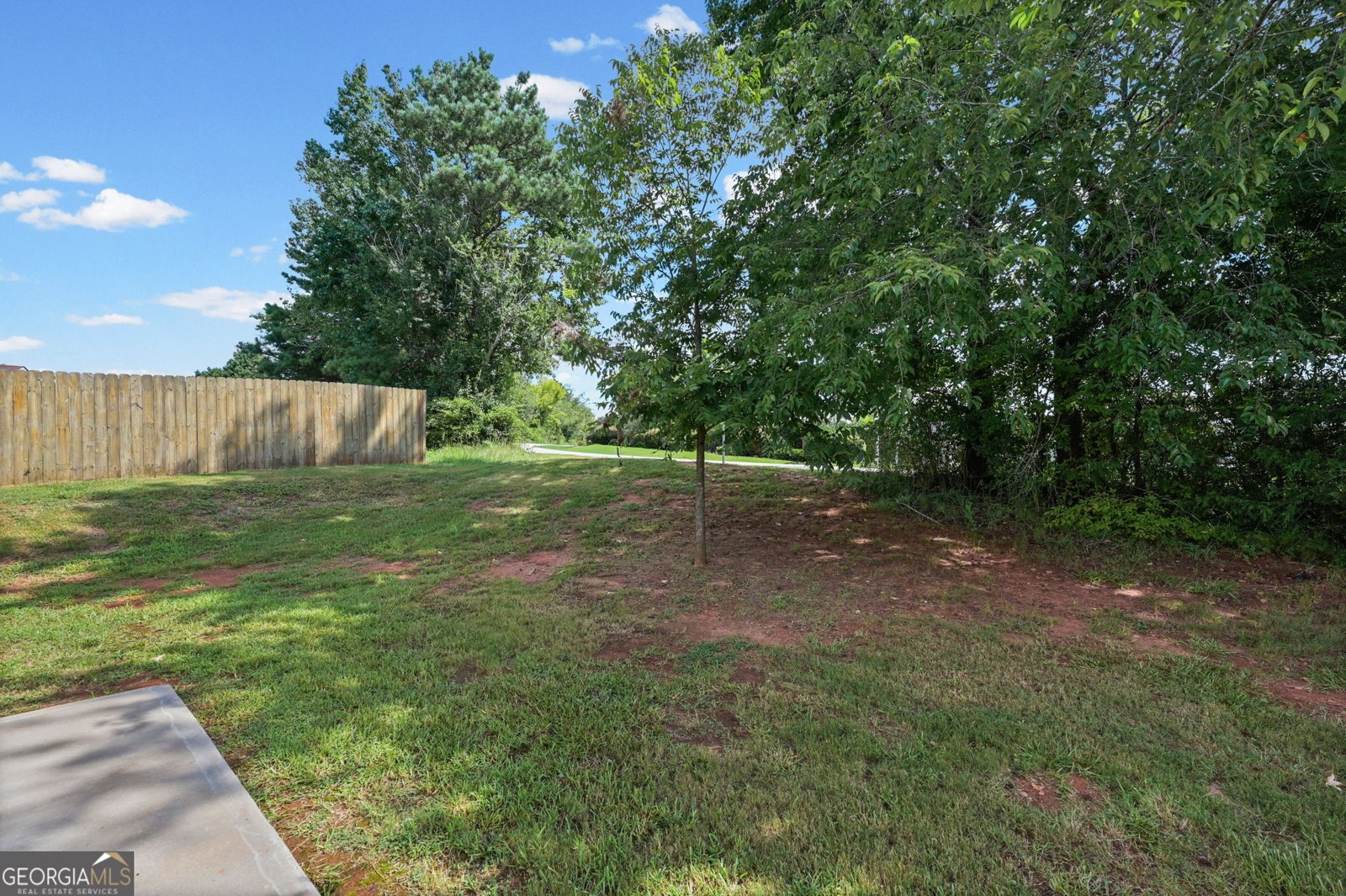 238 Dove Place Social Circle - Photo 22