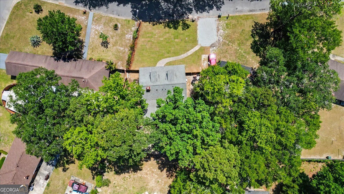 135 Backshell Road Savannah - Photo 39