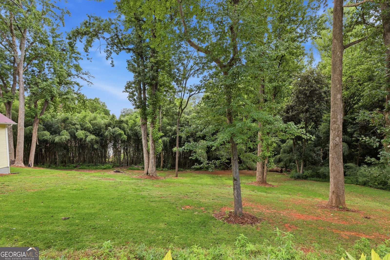 407 Cedar Avenue Demorest - Photo 33
