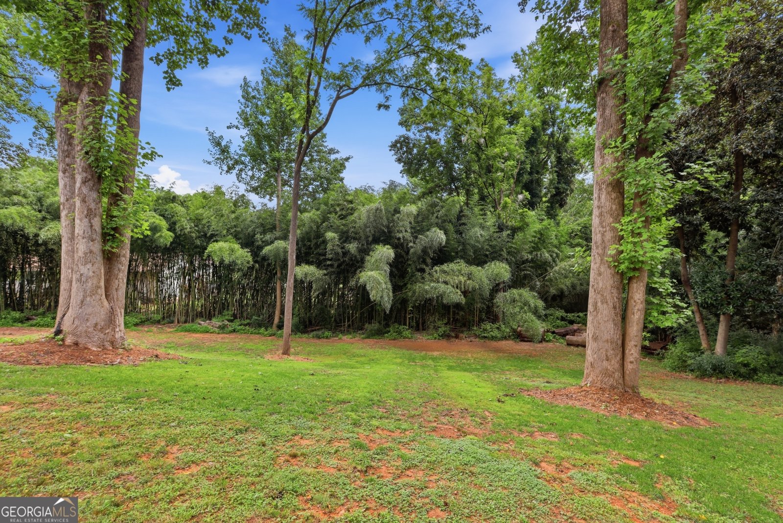 407 Cedar Avenue Demorest - Photo 34