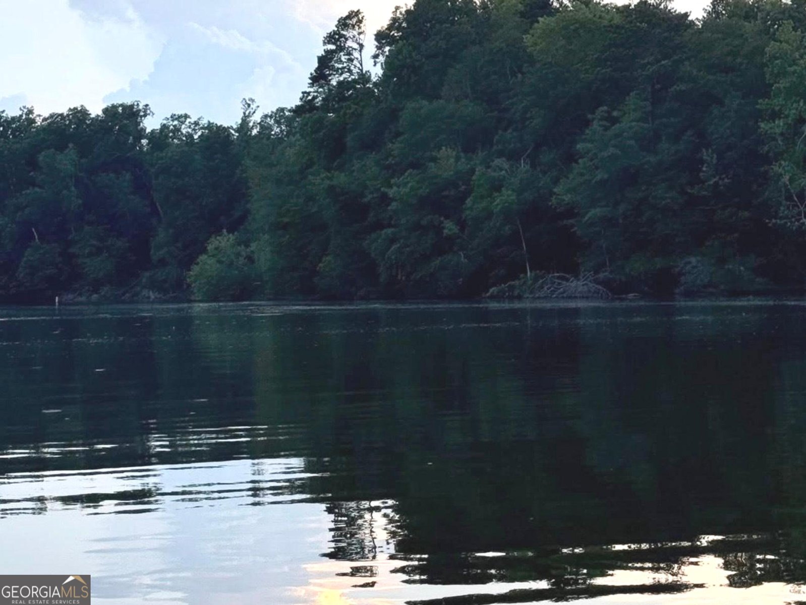 925 Bear Creek Marina Road Mansfield - Photo 26