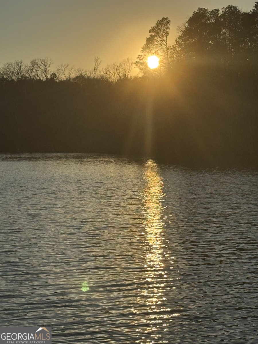 925 Bear Creek Marina Road Mansfield - Photo 50