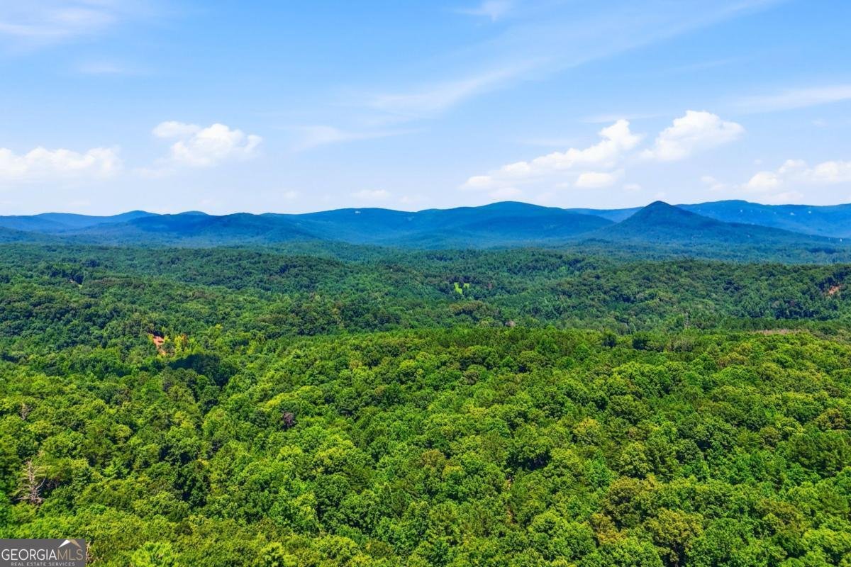 290 Sharptop Ridge Road Jasper - Photo 59