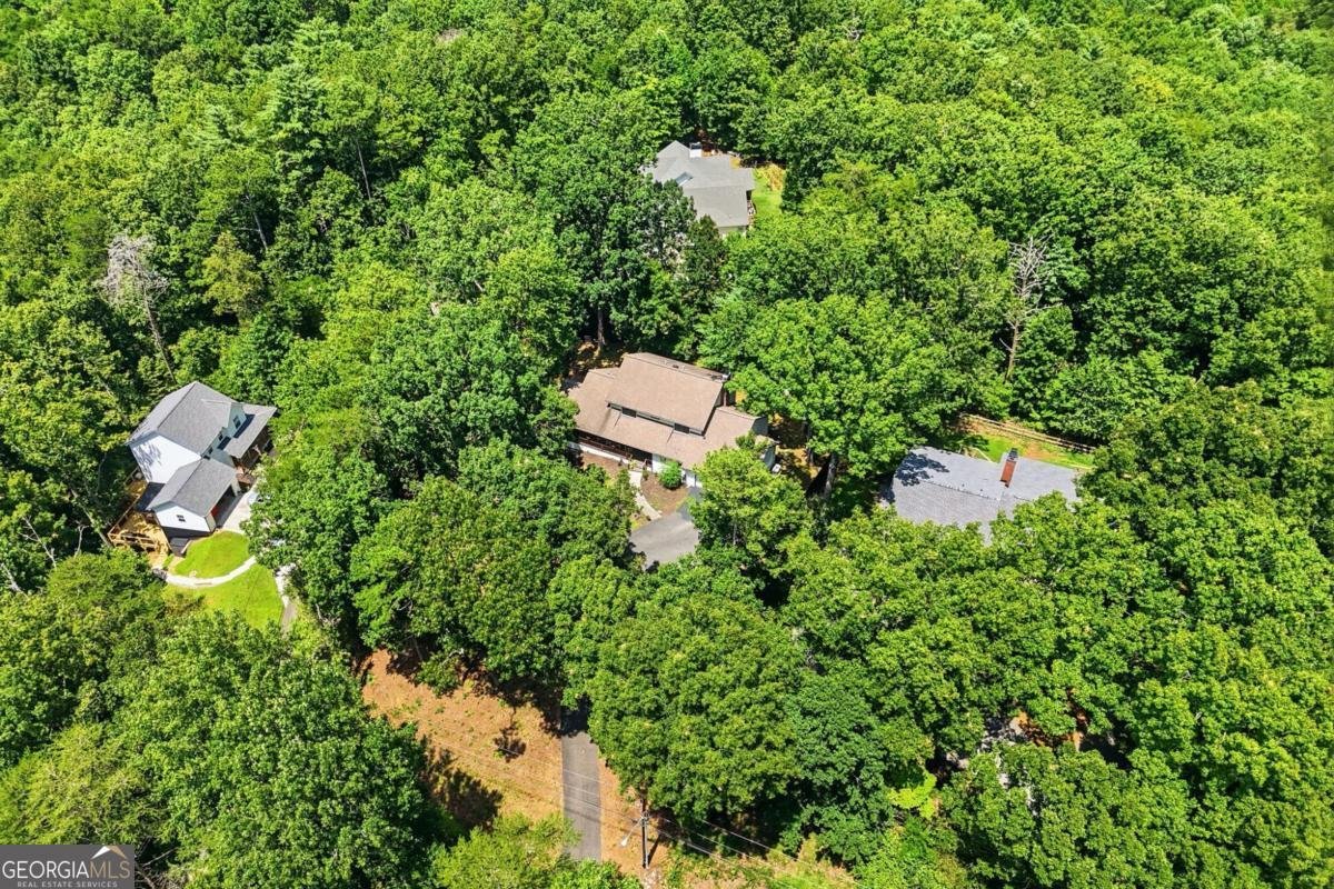 290 Sharptop Ridge Road Jasper - Photo 60