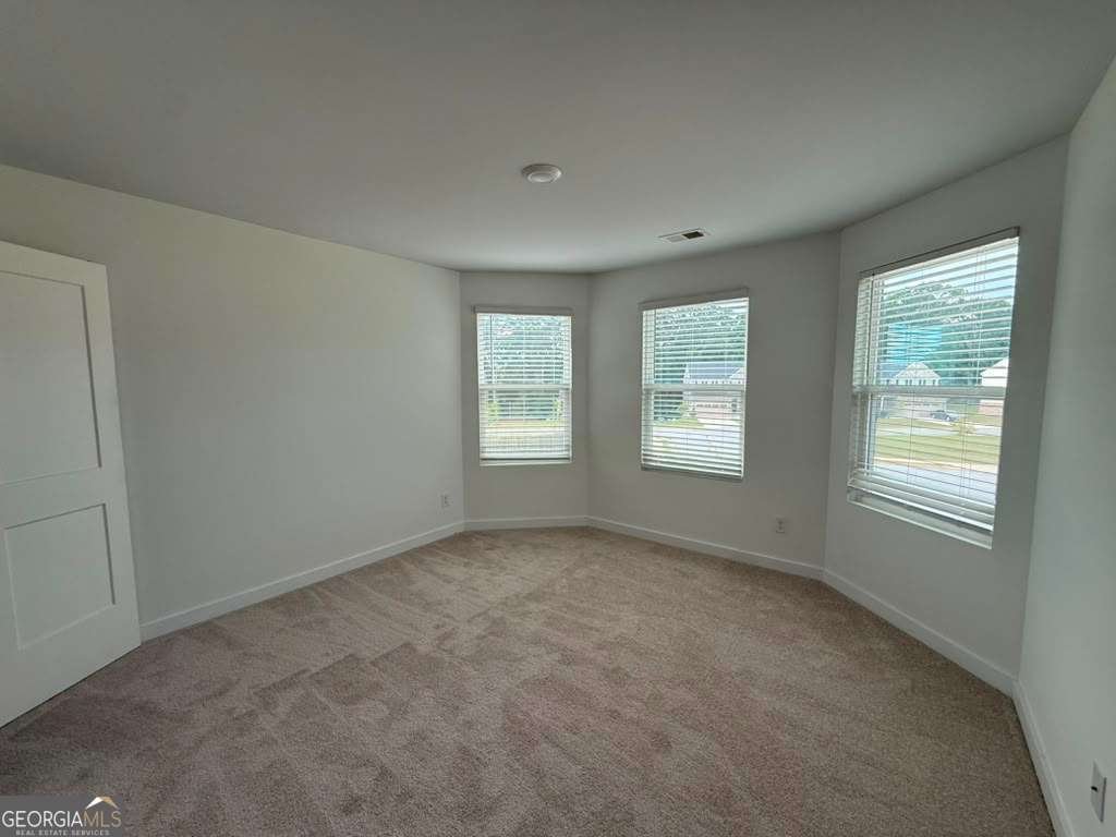 1104 Laflor Way Mcdonough - Photo 10