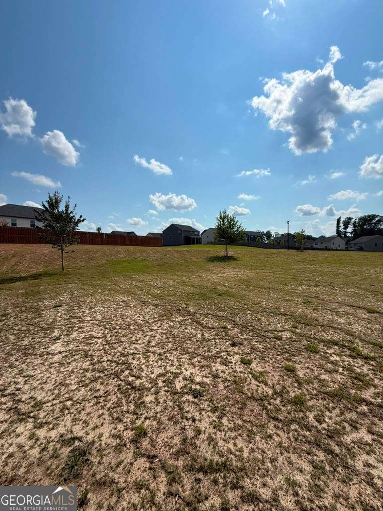 1104 Laflor Way Mcdonough - Photo 13