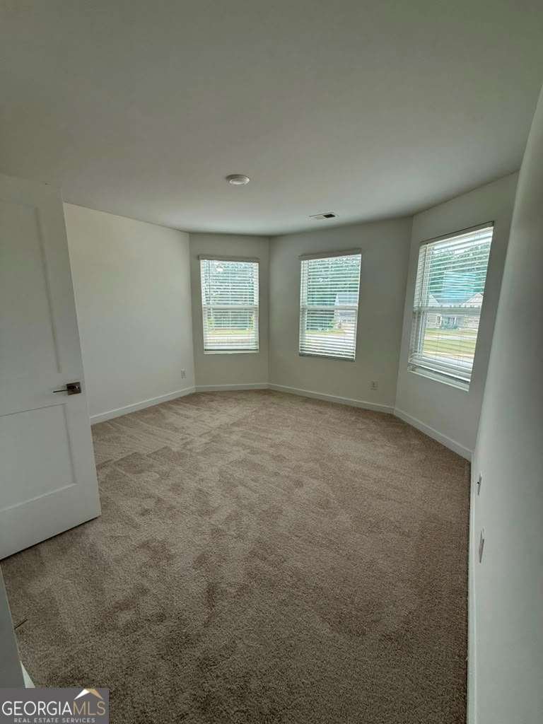 1104 Laflor Way Mcdonough - Photo 8