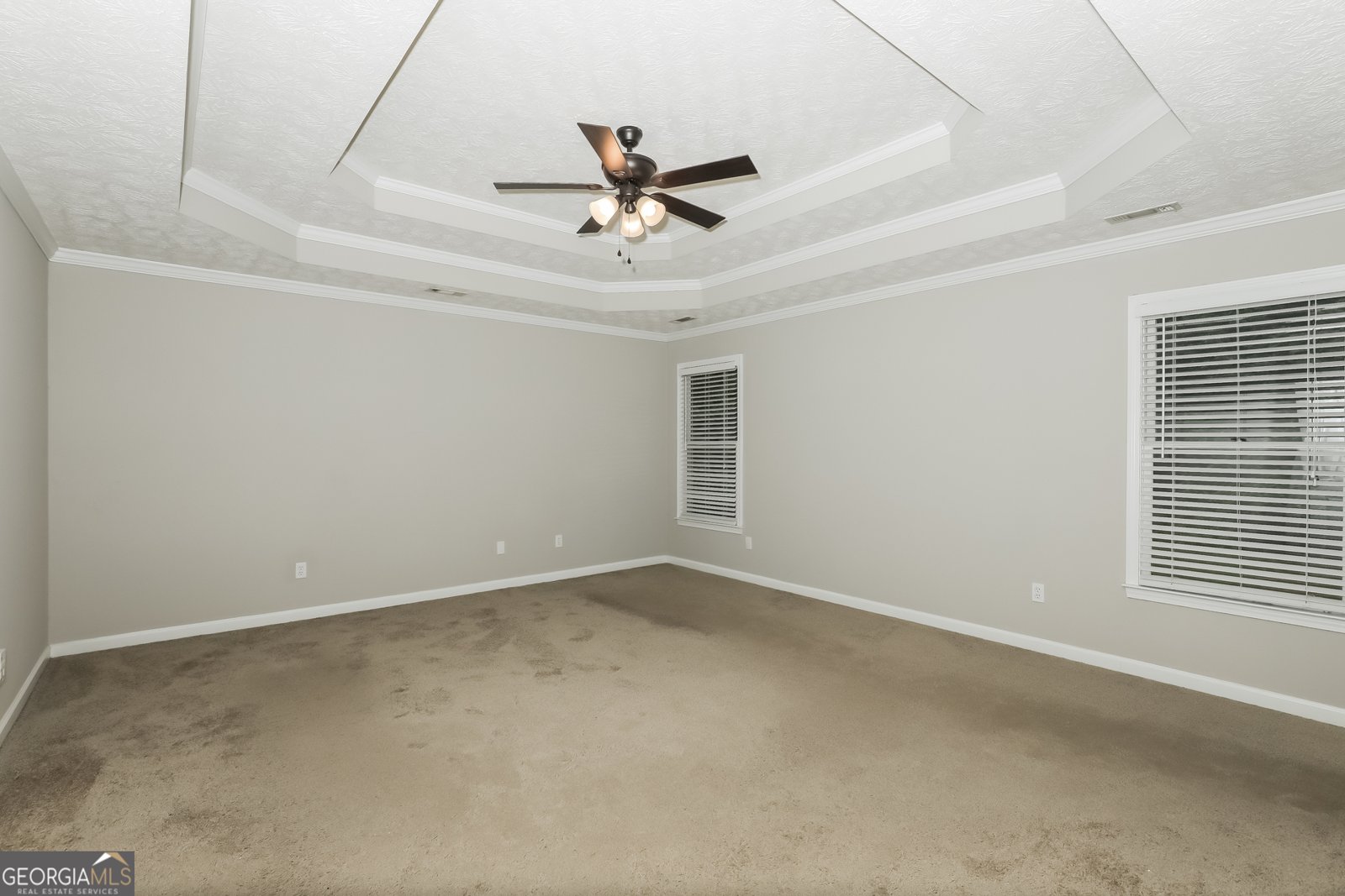 306 Salem Ridge Way McDonough - Photo 12