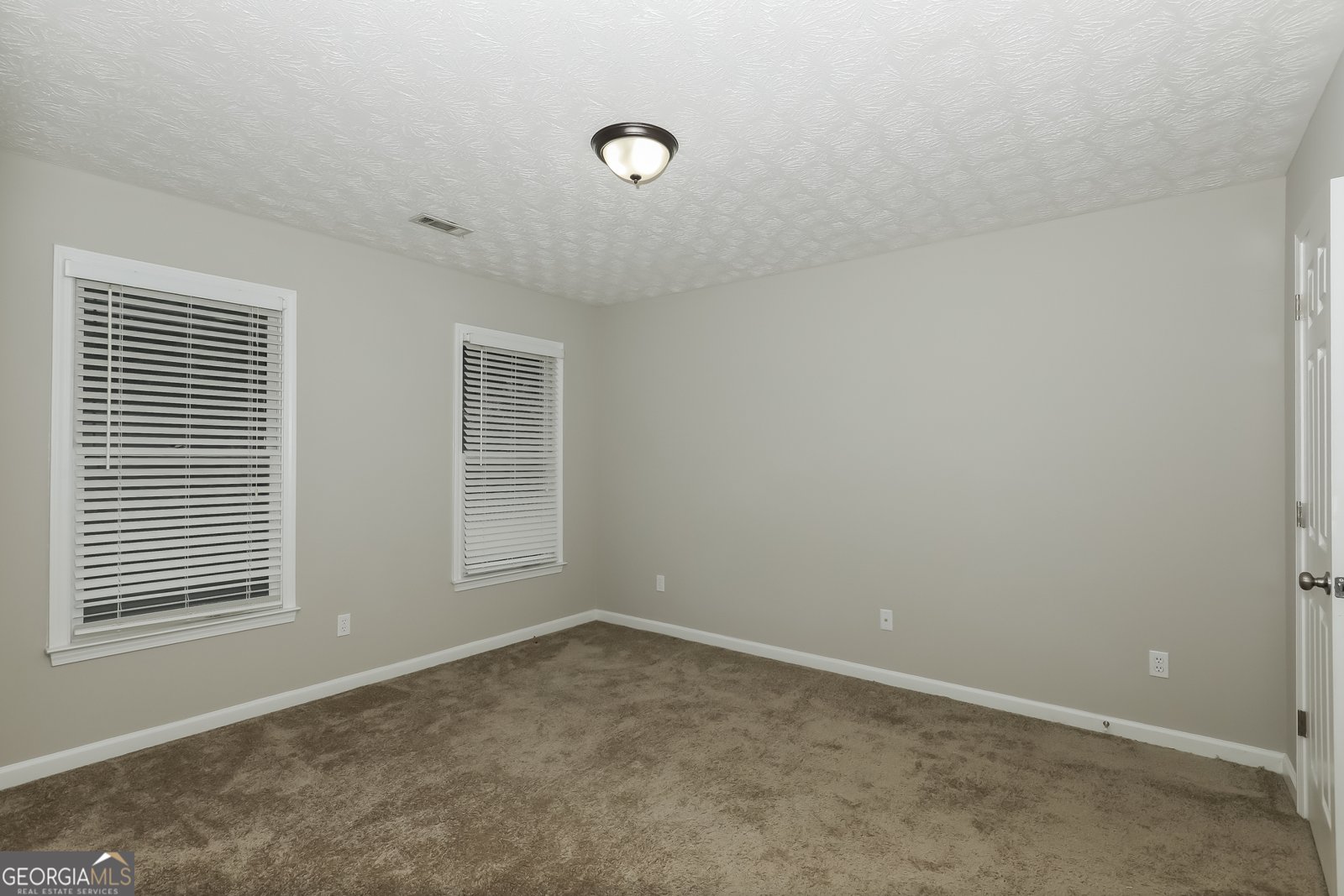 306 Salem Ridge Way McDonough - Photo 14