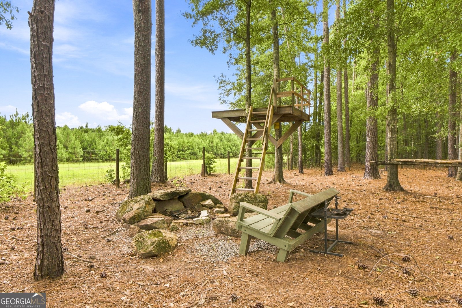 701 Ward Road Williamson - Photo 45