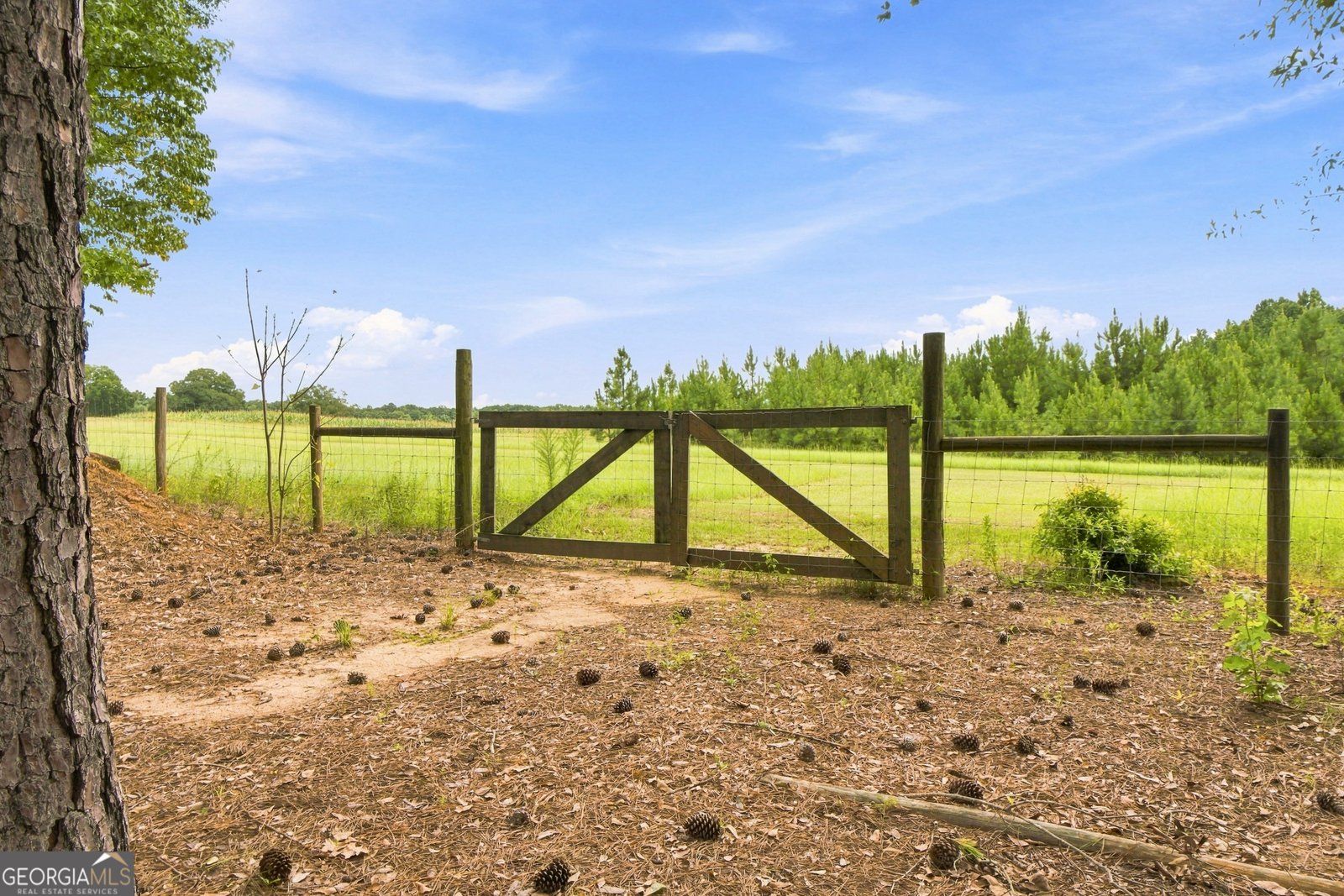 701 Ward Road Williamson - Photo 46