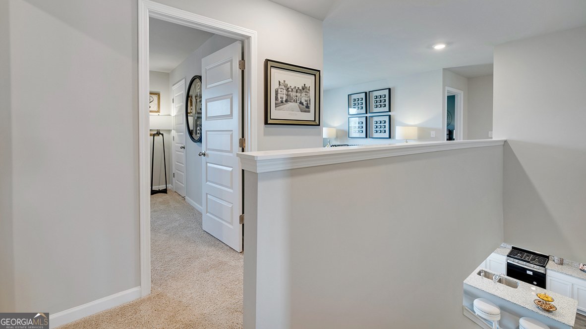 171 White Spruce Way Newnan - Photo 28