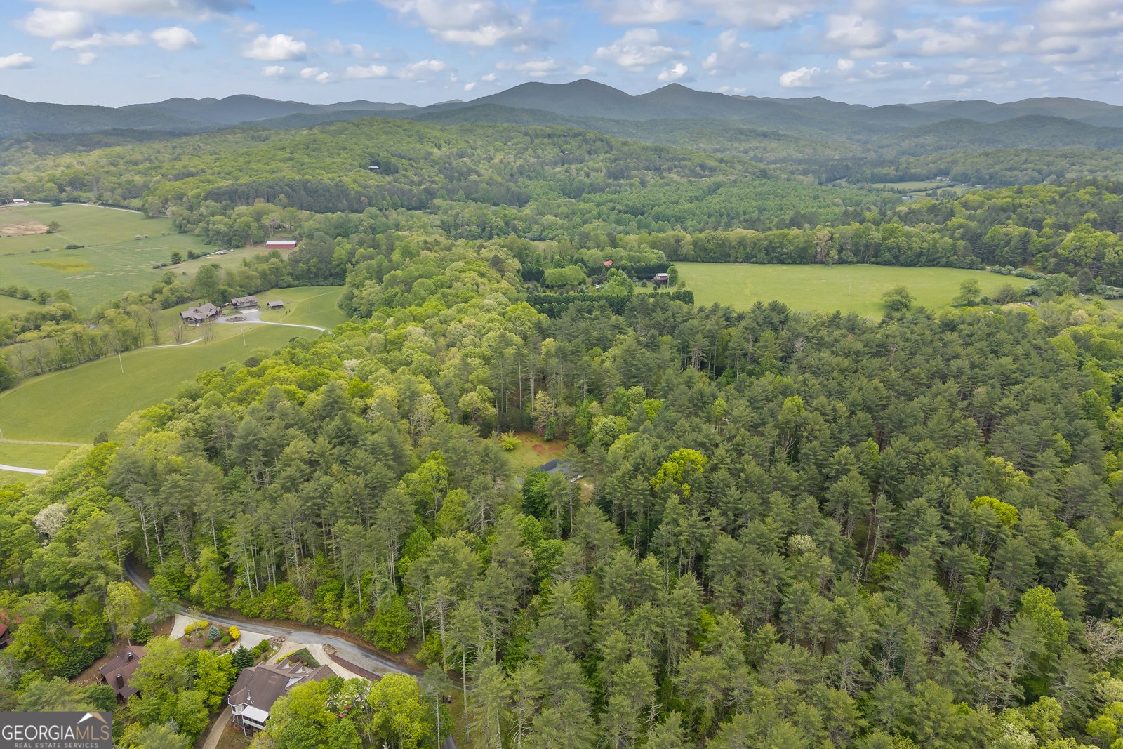 435 Dogwood Way Blue Ridge - Photo 38