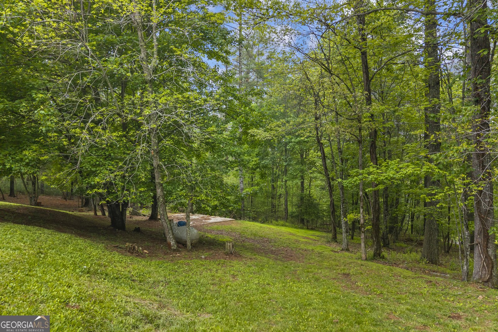 435 Dogwood Way Blue Ridge - Photo 58