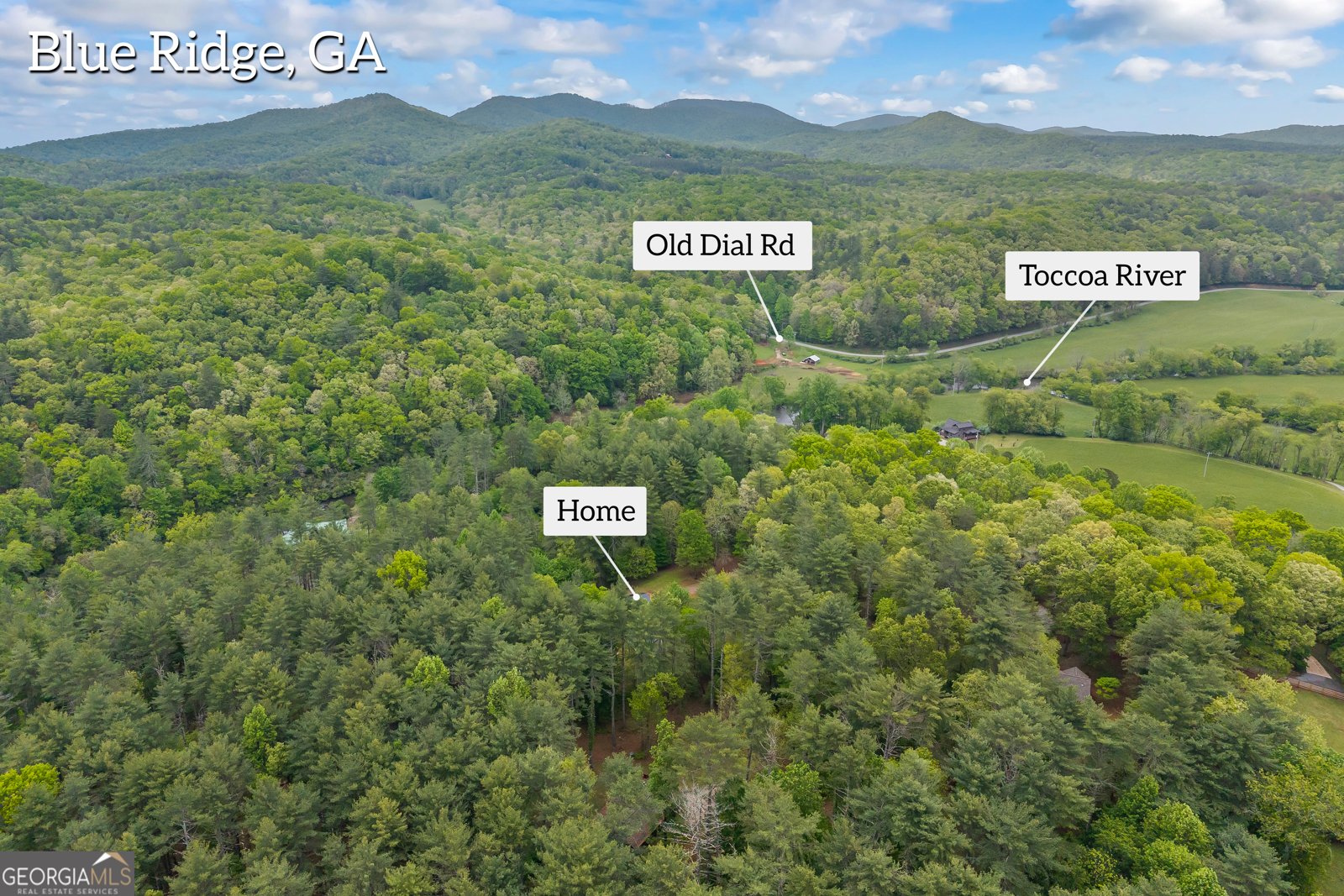 435 Dogwood Way Blue Ridge - Photo 63