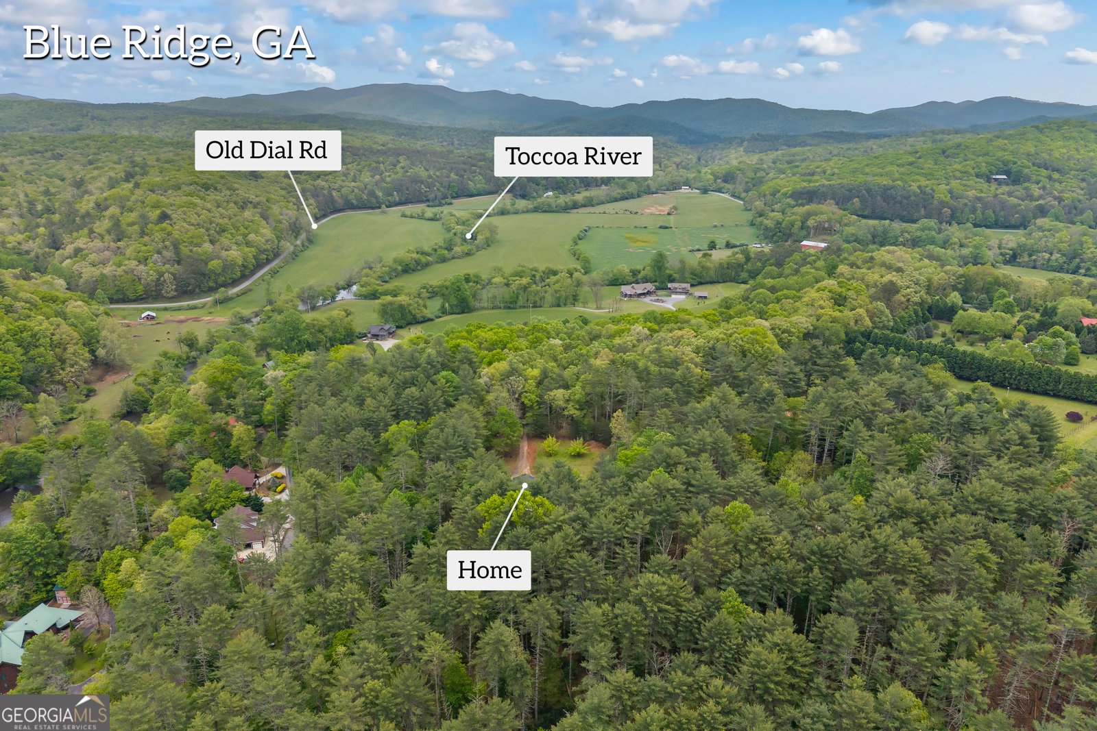 435 Dogwood Way Blue Ridge - Photo 65
