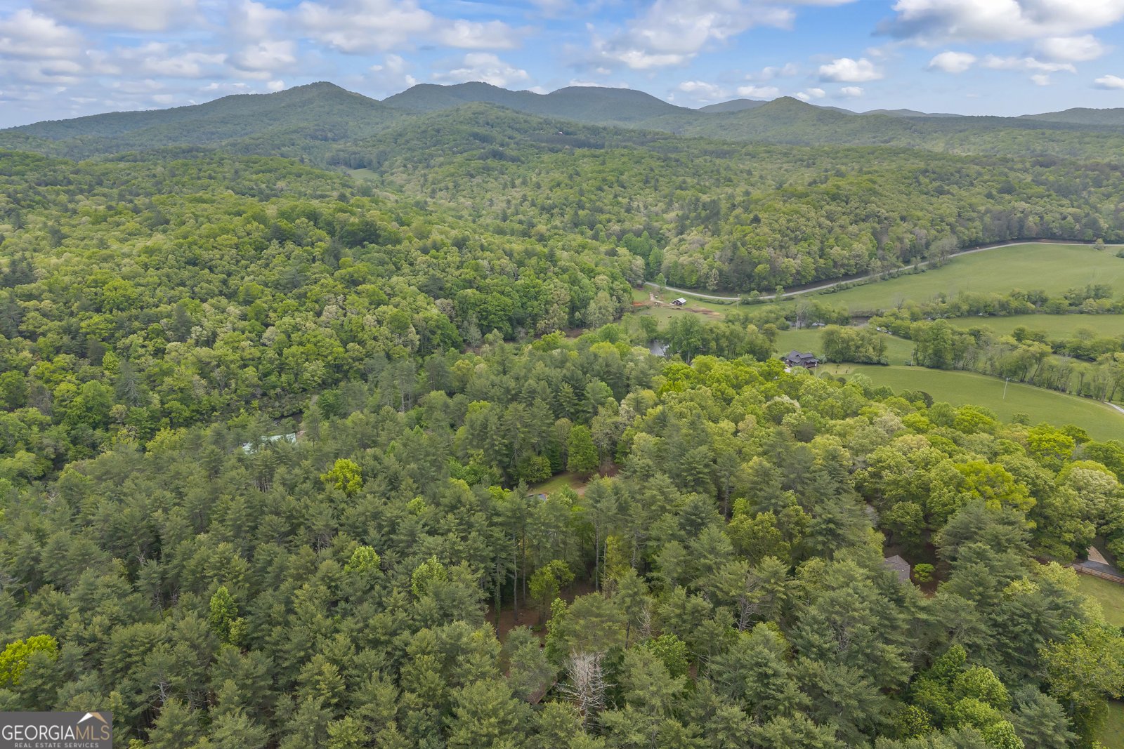 435 Dogwood Way Blue Ridge - Photo 66