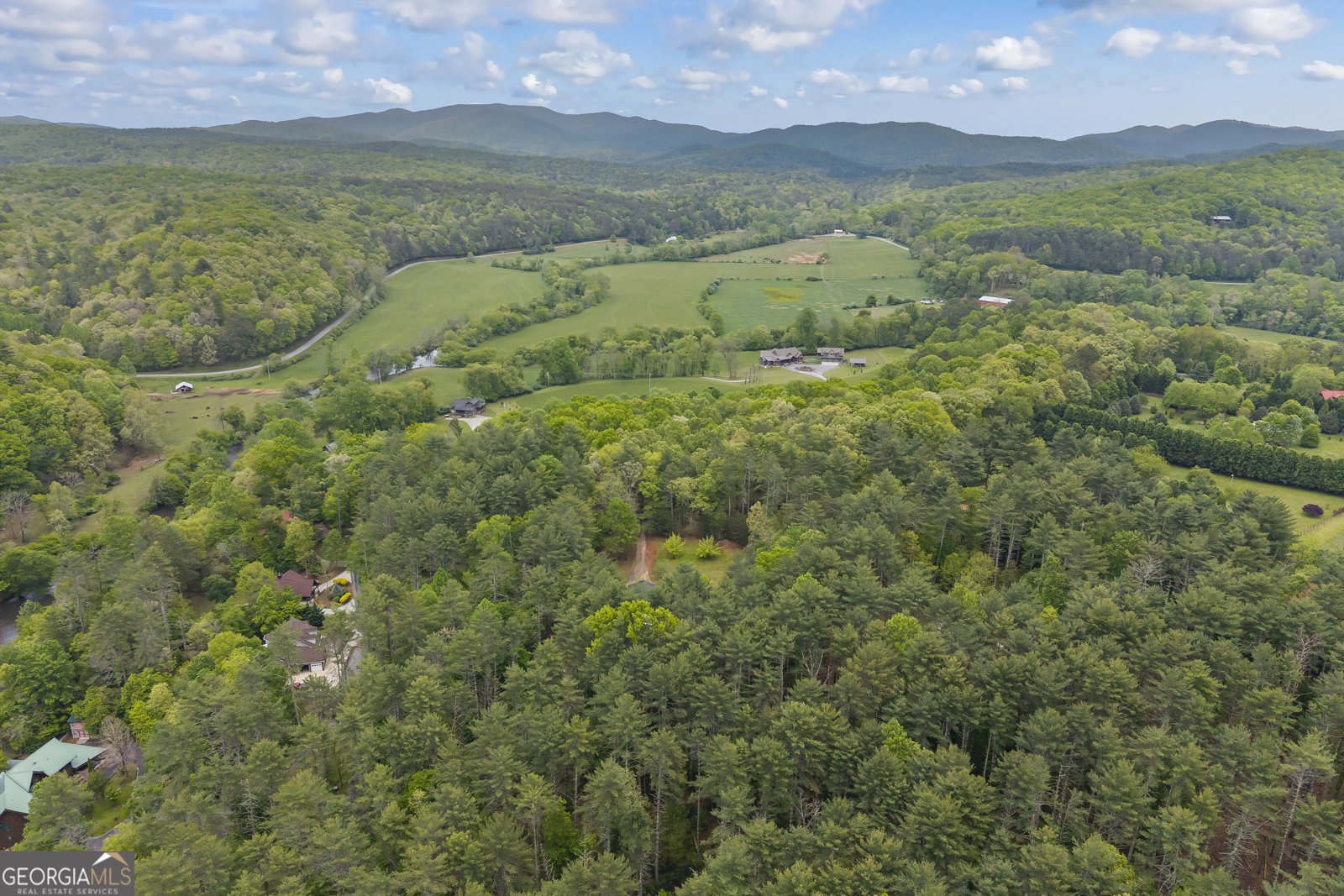 435 Dogwood Way Blue Ridge - Photo 68