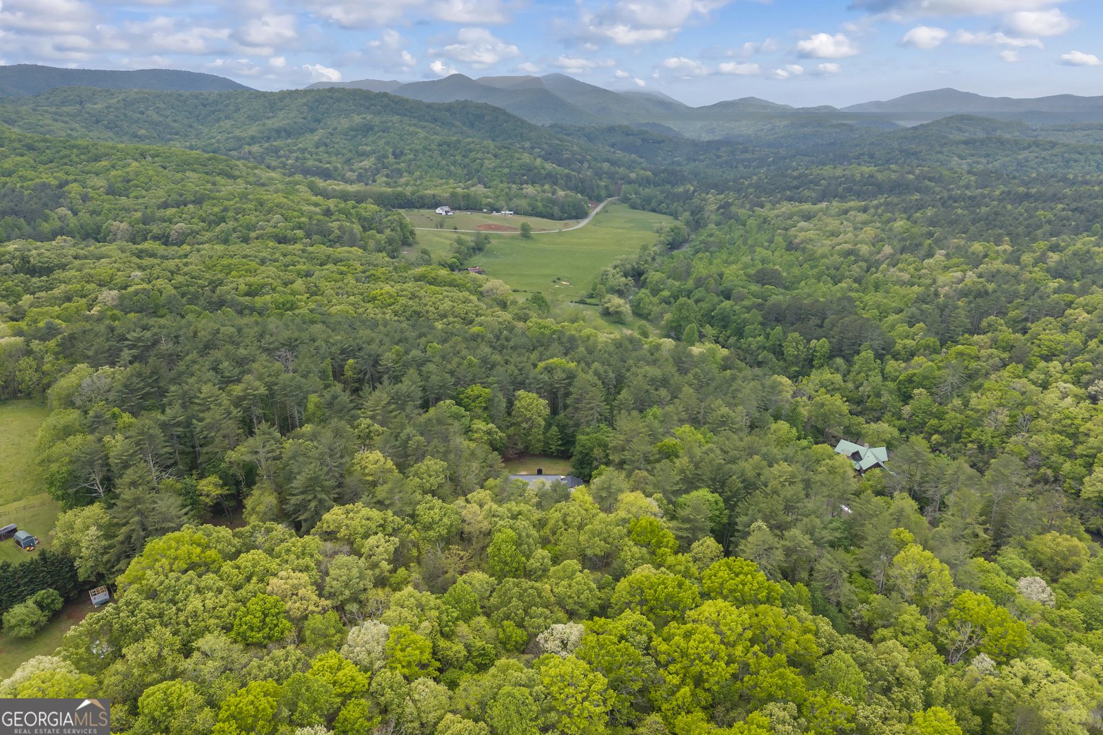 435 Dogwood Way Blue Ridge - Photo 72