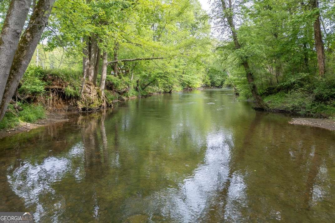 4494 Gainesville Highway Blairsville - Photo 27