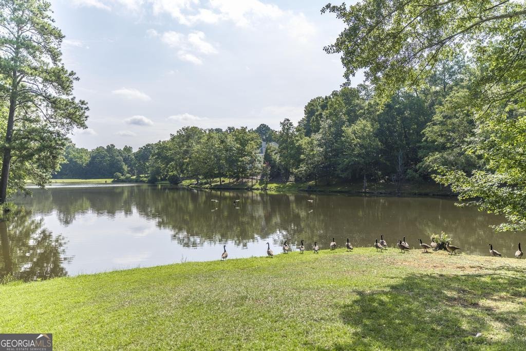 123 Saddle Run Court Macon - Photo 45