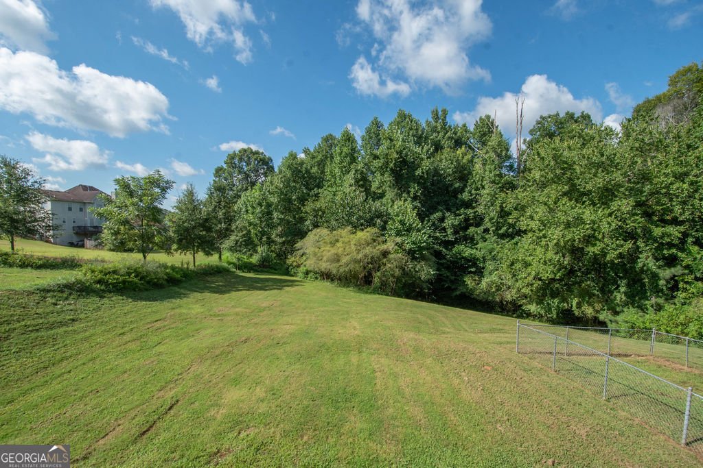 202 Biltmore Way Stockbridge - Photo 53