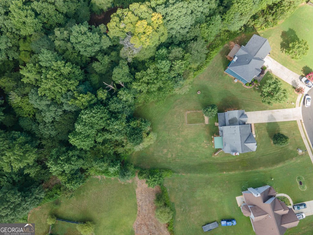202 Biltmore Way Stockbridge - Photo 55