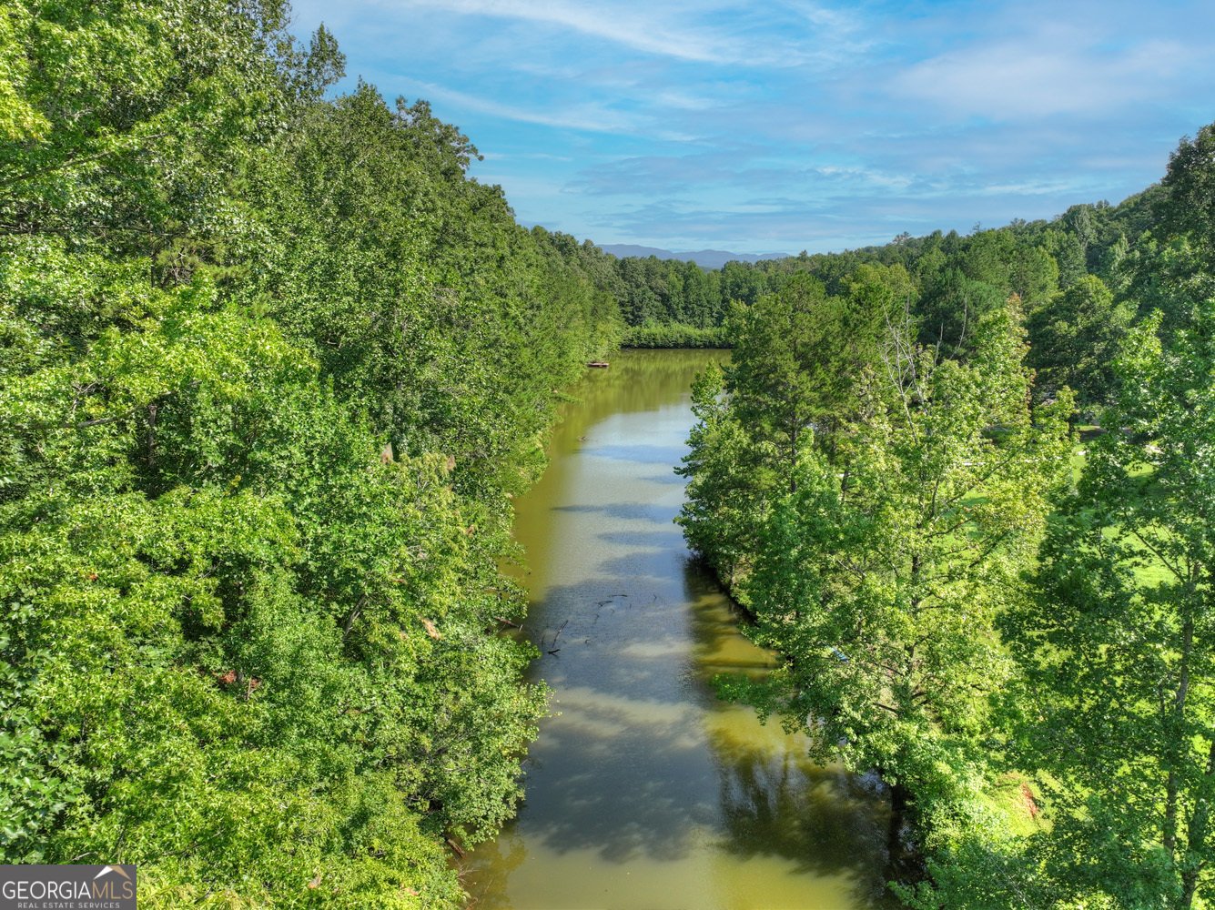 88 Talona Lake Lane Ellijay - Photo 42