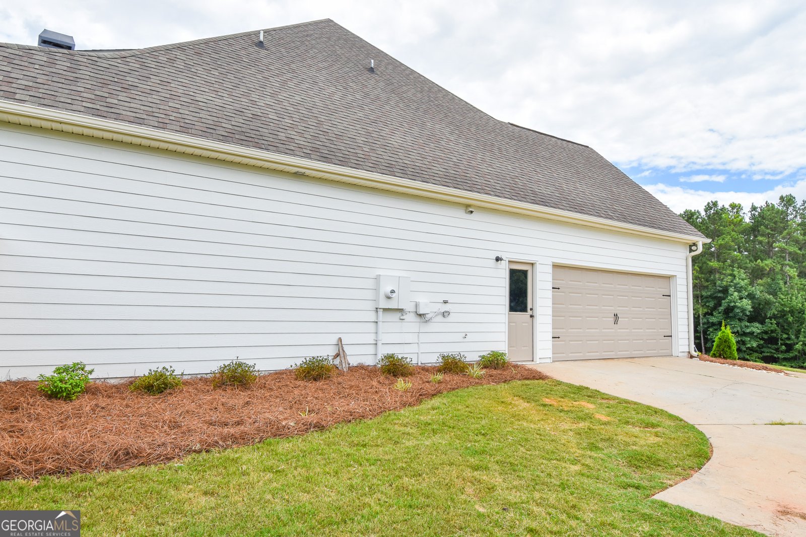383 Walden Pond Way Senoia - Photo 10