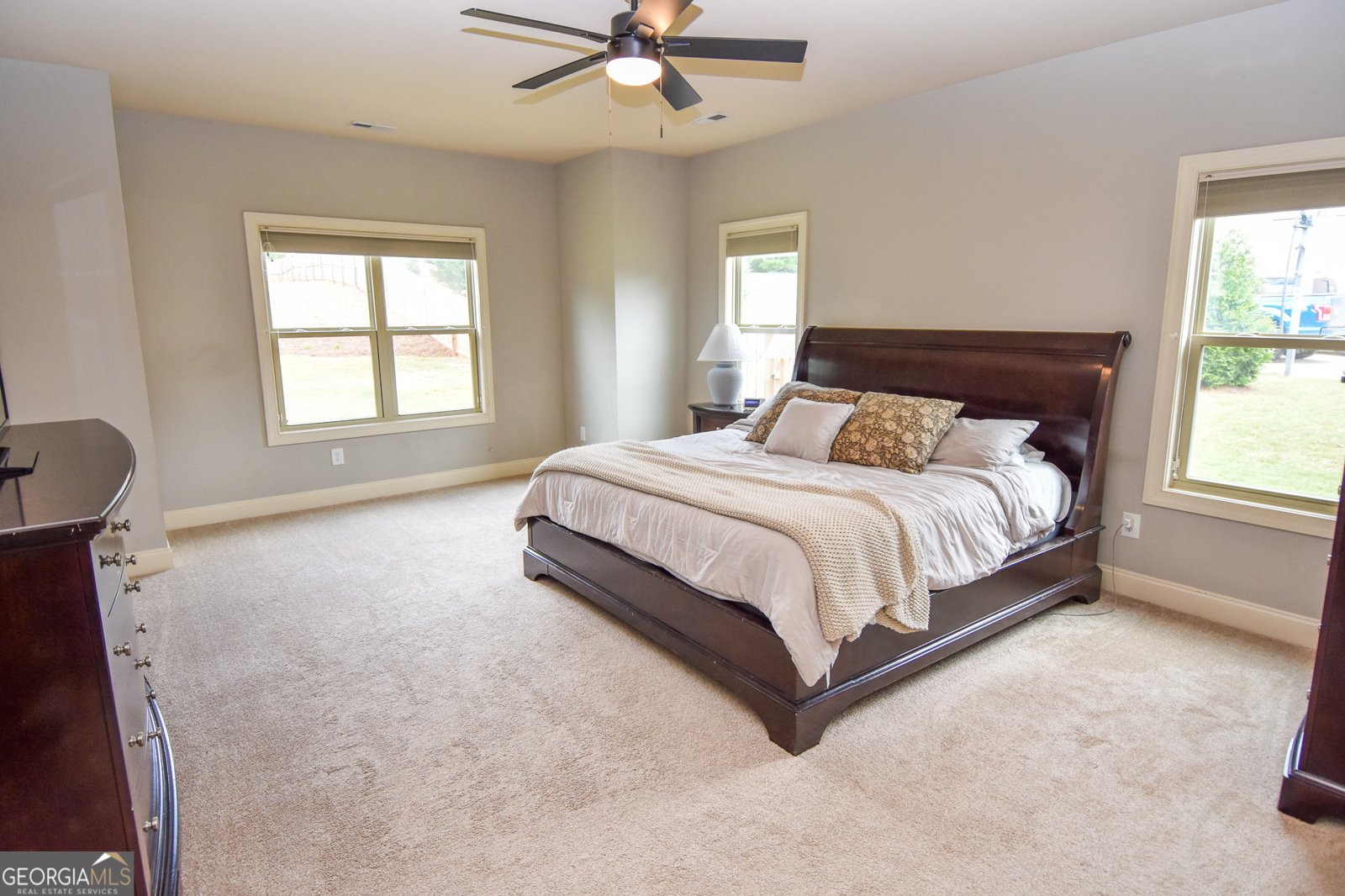 383 Walden Pond Way Senoia - Photo 25