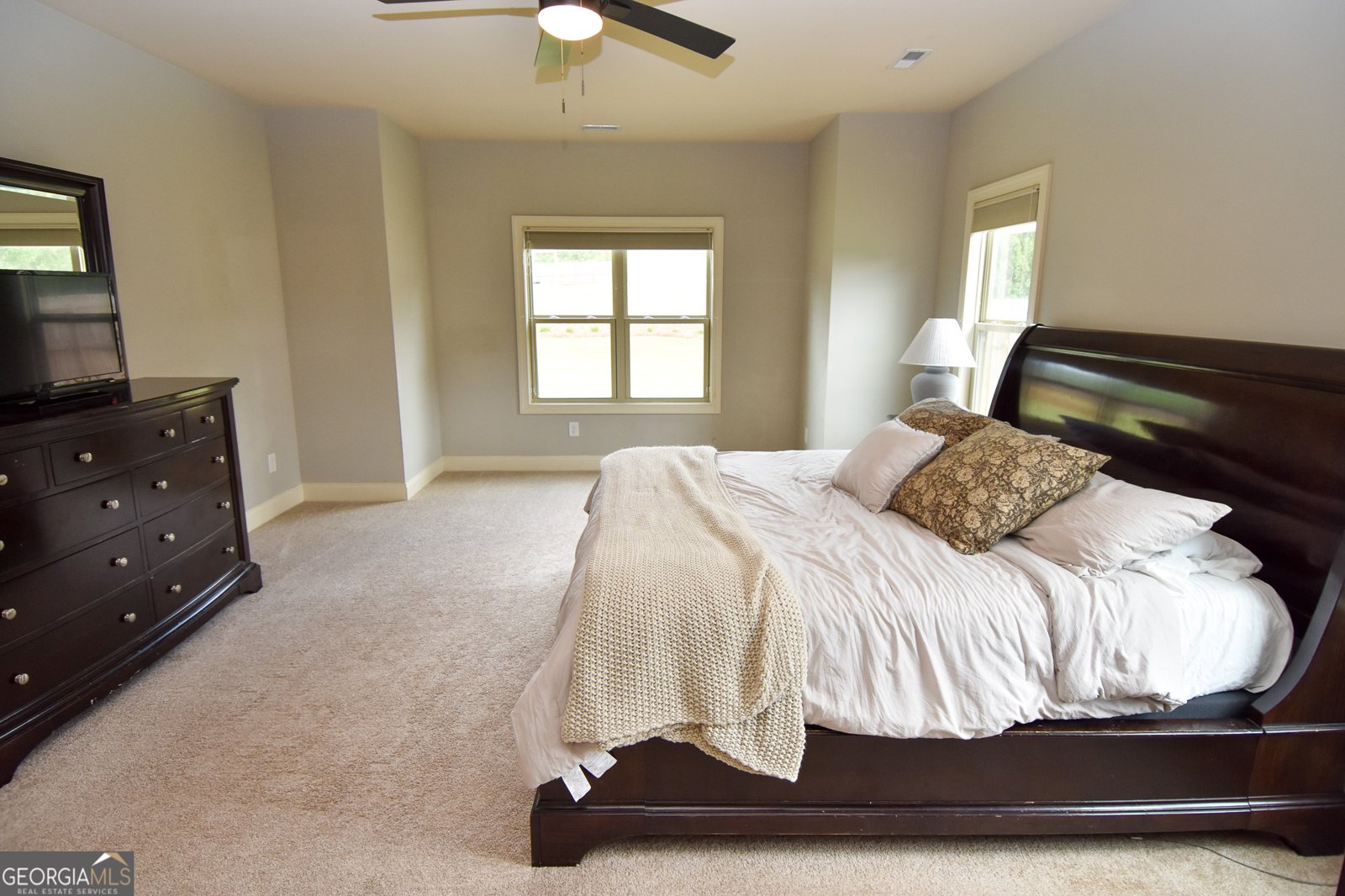 383 Walden Pond Way Senoia - Photo 26