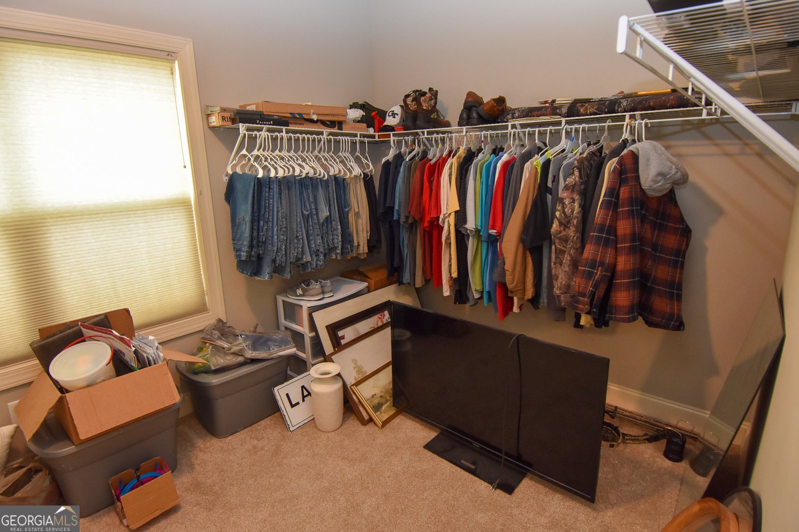 383 Walden Pond Way Senoia - Photo 33