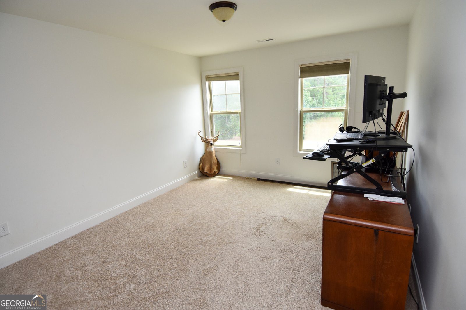 383 Walden Pond Way Senoia - Photo 73