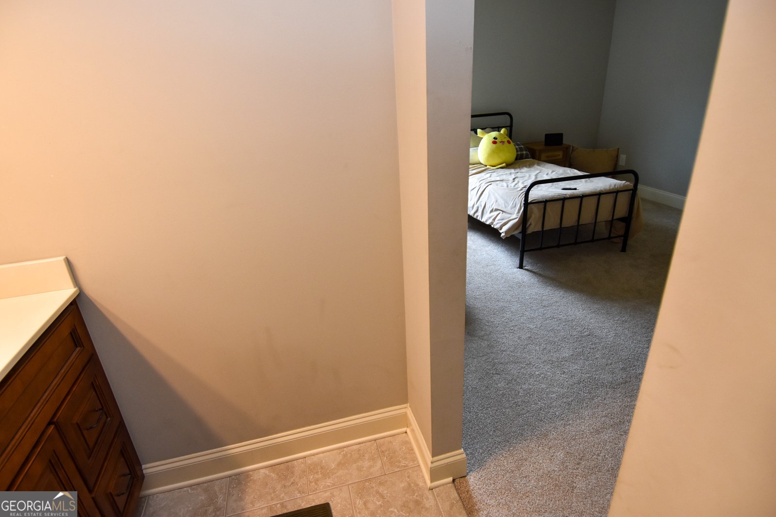 383 Walden Pond Way Senoia - Photo 80