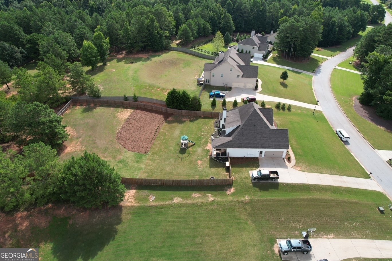 383 Walden Pond Way Senoia - Photo 93