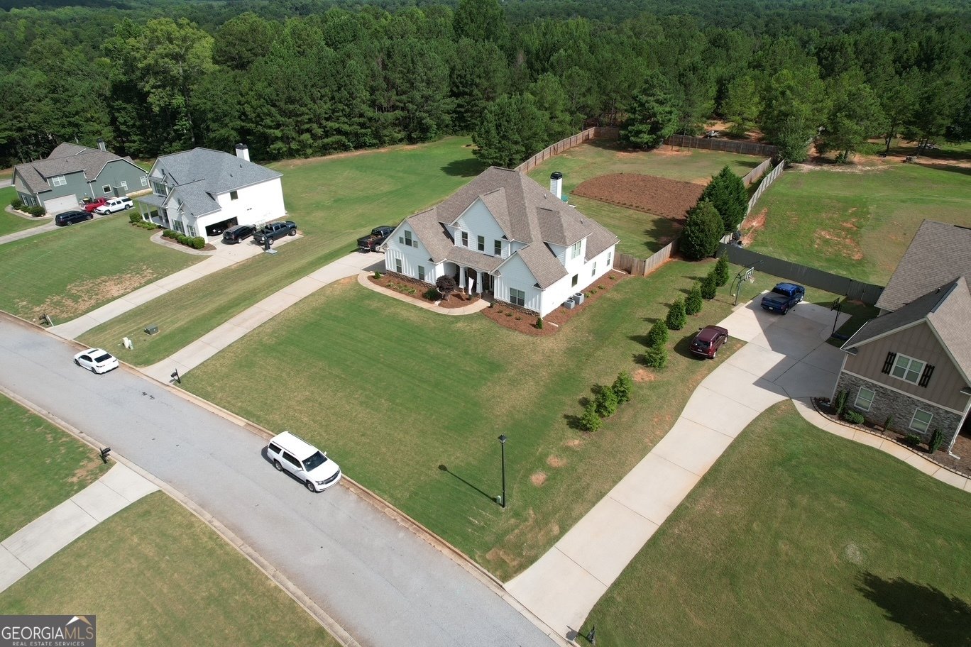 383 Walden Pond Way Senoia - Photo 98