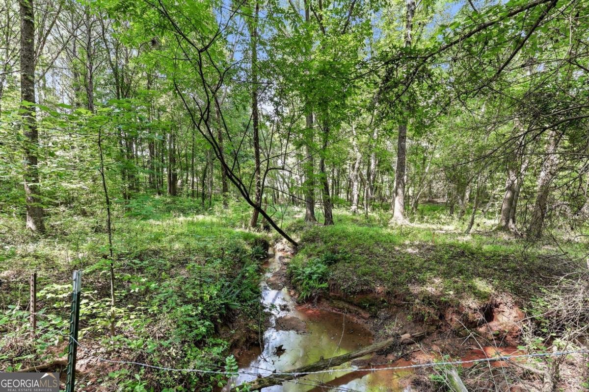 5631 Sandy Creek Road Madison - Photo 69