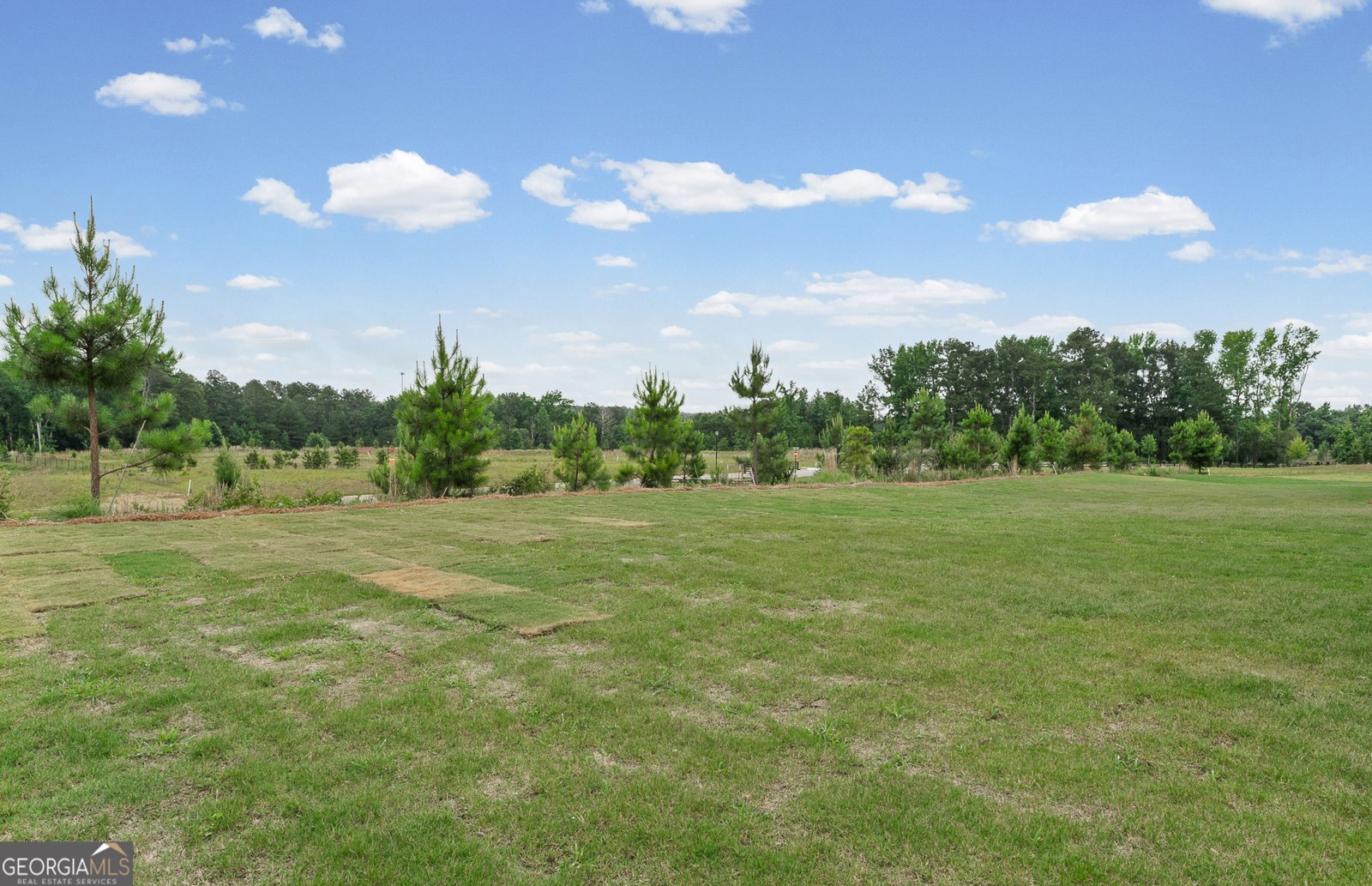 137 Kenney Way Locust Grove - Photo 33