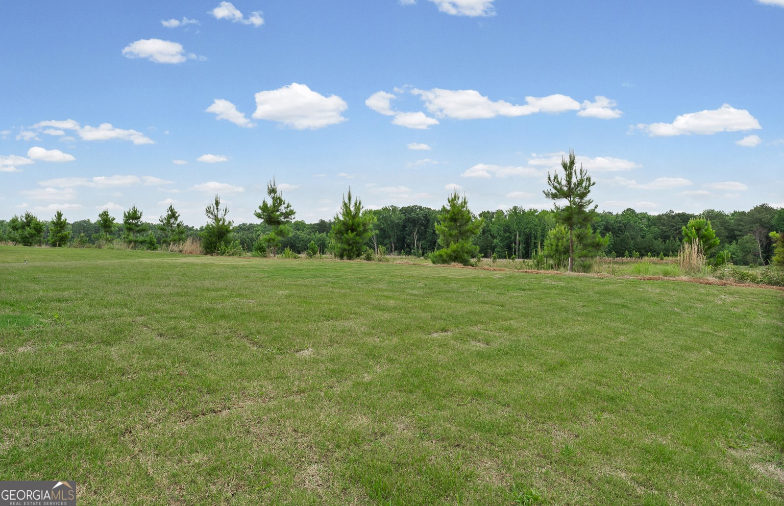 137 Kenney Way Locust Grove - Photo 34