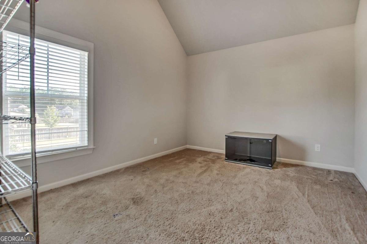 300 Onyx Drive Mcdonough - Photo 21
