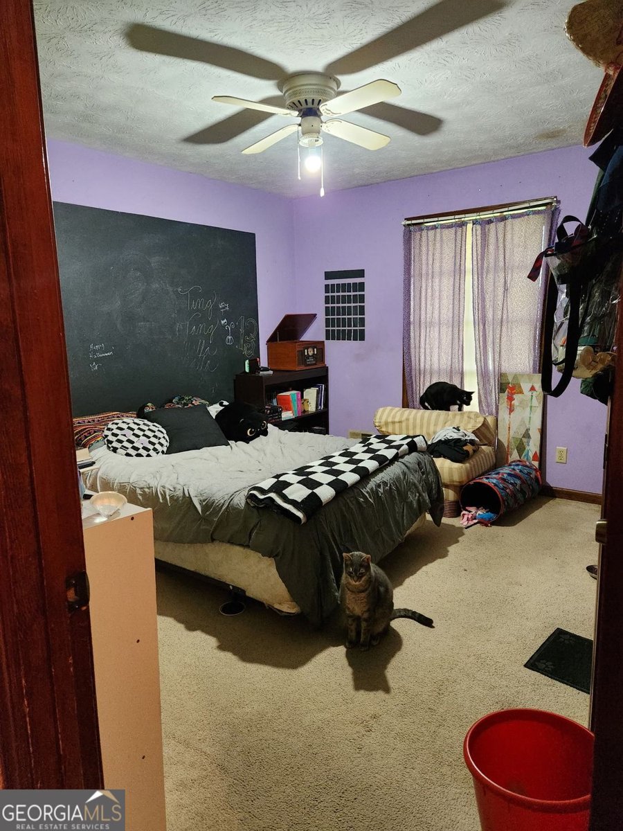 6522 Cook Drive Lithia Springs - Photo 27